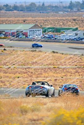 media/Nov-16-2024-Extreme Speed (Sat) [[6587d07cc4]]/Gold Group/Session 1 (Turn 2)/